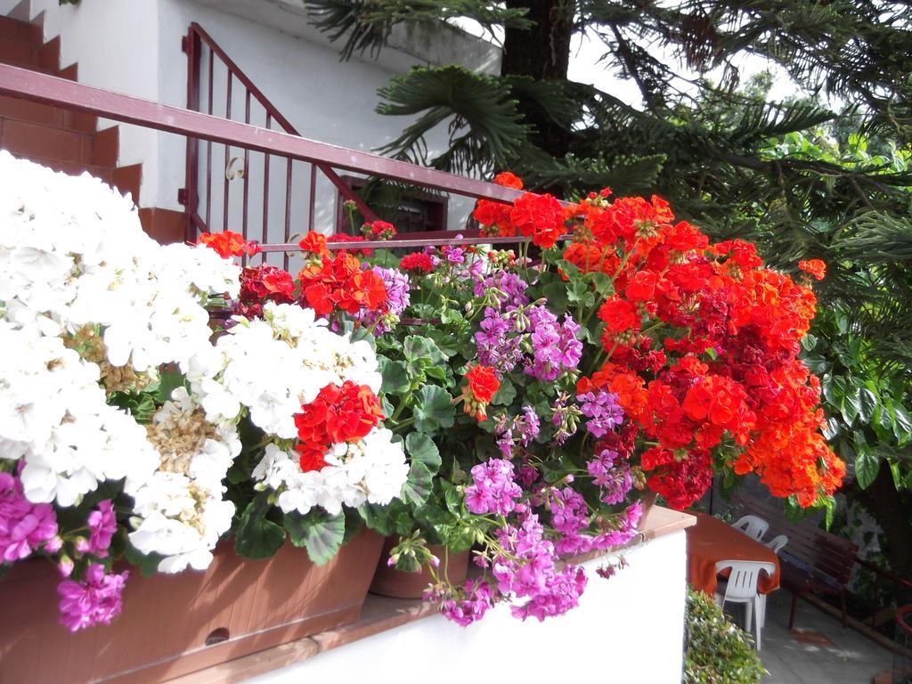 Casavacanzeinsicilia Etna Taormina Villa ปิเอดิมอนเต เอตเนโอ ห้อง รูปภาพ