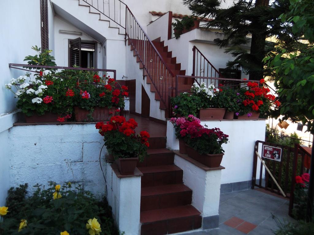 Casavacanzeinsicilia Etna Taormina Villa ปิเอดิมอนเต เอตเนโอ ภายนอก รูปภาพ